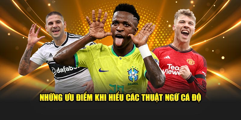 Những ưu điểm khi hiểu các thuật ngữ cá độ